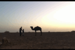 Meilleurs Excursions Marrakech Commence Ici