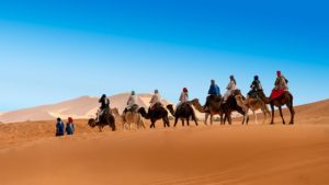 10 Meilleurs Excursions Au Départ De Marrakech